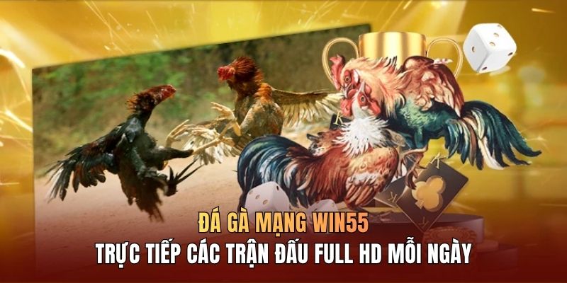 Đá Gà Mạng WIN55 Trực Tiếp Full HD Kèo Cược Minh Bạch - DAVOZE.ORG