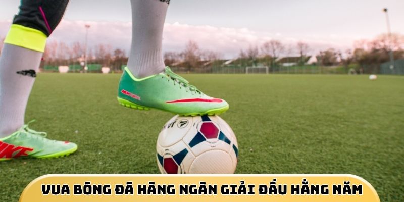 Thể Thao Win55 - Điểm Đến Cá Cược Chất Lượng Tuyệt Đối 2026 - DAVOZE.ORG