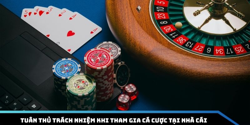 Trách Nhiệm Người Chơi Win55 - Quy Định Và Cam Kết Minh Bạch - DAVOZE.ORG