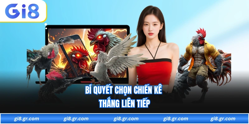 Đá Gà GI8 Trình Chiếu Livestream Sắc Nét Và Đa Dạng Giải Đấu - DAVOZE.ORG