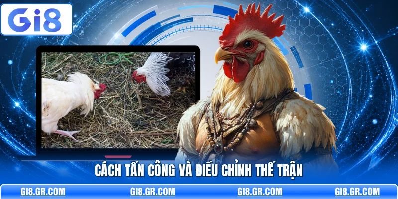 Giống Gà Đá Mạnh GI8 - Phân Tích Dòng Gà Chuẩn Nhất - DAVOZE.ORG