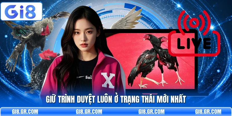 Hướng Dẫn Xem Đá Gà Online GI8 - Cách Theo Dõi Nhanh - DAVOZE.ORG