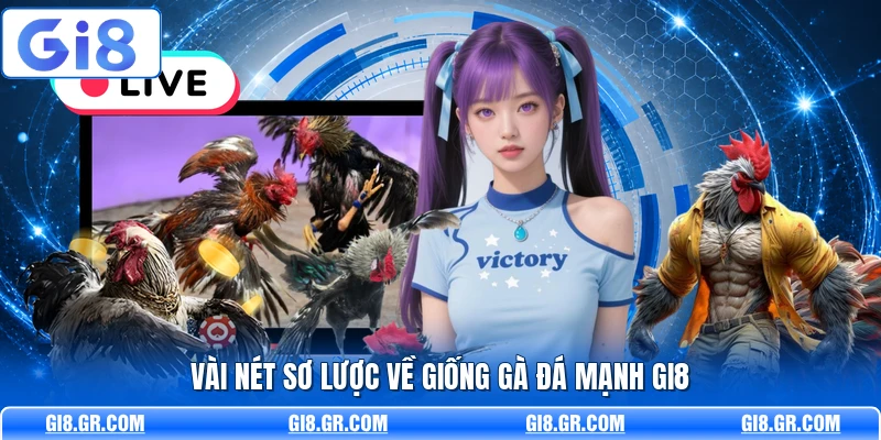 Giống Gà Đá Mạnh GI8 - Phân Tích Dòng Gà Chuẩn Nhất - DAVOZE.ORG