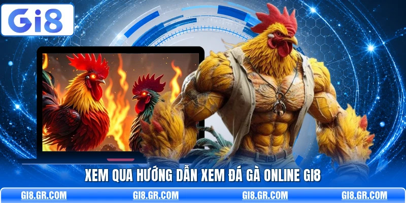 Hướng Dẫn Xem Đá Gà Online GI8 - Cách Theo Dõi Nhanh - DAVOZE.ORG